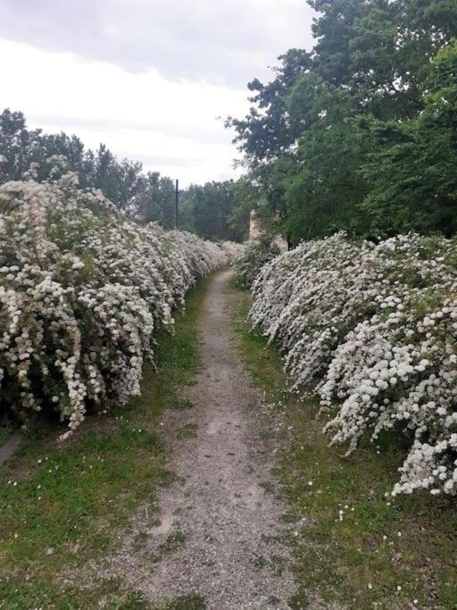 Dalla Rossa Montelupo Fiorentino Εξωτερικό φωτογραφία
